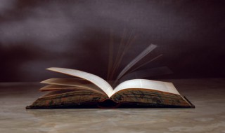 势怎么读 势字读音