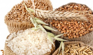 农业谚语 关于农业的谚语有哪些