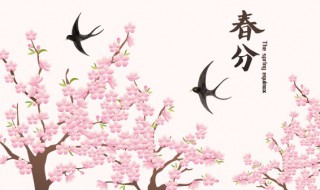 天津春分吃什么食物 天津春分吃的食物有哪些