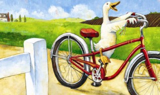 鸭子骑车记的内容简介是什么 鸭子骑车记内容简介及作者简介