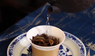 白茶用什么壶泡 白茶怎么泡