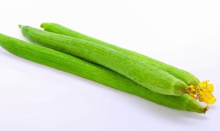 丝瓜怎样储存不长虫 如何保存丝瓜