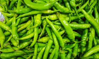 青辣椒太多了怎样储存 青辣椒太多了储存方法