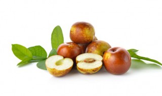 枣树品种介绍 常见的枣树品种介绍