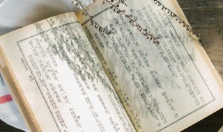 阔以是什么意思 阔以的意思是什么