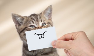 富有哲理幽默内涵句子 富有哲理幽默内涵句子精选