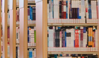 简爱人物介绍 关于简爱的人物介绍有哪些