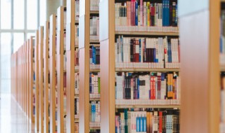 琴的量词是什么 琴字解释