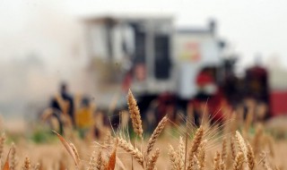 2021入伏是几点 2021入伏时间介绍