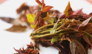 香椿焯水需要注意什么 香椿的介绍