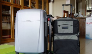 水果是否可以放在行李箱托运 水果能放在行李箱中进行托运吗