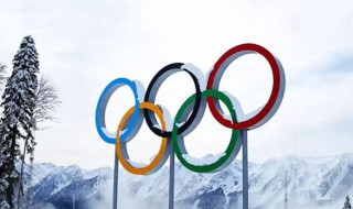 首次参加奥运会的难民代表队 首次参加奥运会的难民代表队的介绍