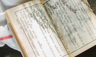 渴望小说简介 渴望小说简介介绍