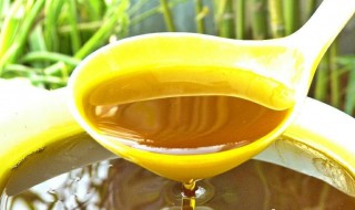怎样储存菜油 菜籽油家常保存方法分享