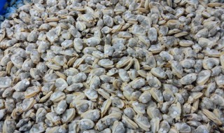 蚬子肉怎么做好吃 蚬子肉简单做法