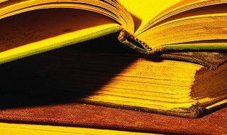 需要层次理论 需要层次理论介绍