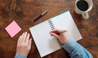 白鲸小说简介 小说白鲸简介