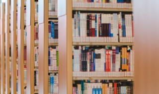 狼王梦简介30字 关于狼王梦的简介