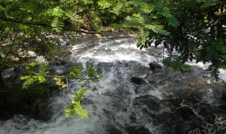 小石潭记景点简介 关于小石潭记景点资料