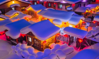 瑞雪是什么意思 瑞雪词语的翻译