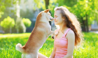 做梦狗咬是什么意思 做梦狗咬是啥意思