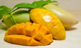 种芒果怎么种植方法 盆栽芒果的种植方法介绍