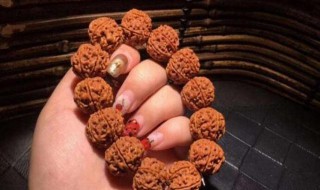 菩提不能乱戴 佩戴菩提子有什么禁忌