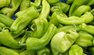 家常糖醋辣椒腌制方法 家庭自制泡糖醋辣椒的做法