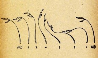 规律的特点 规律有哪些特点