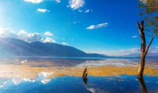 云南简介 云南简单介绍