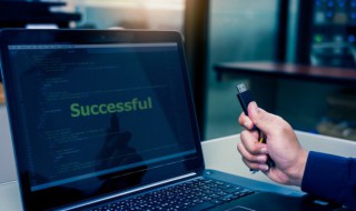 什么是比特精灵 比特精灵是啥