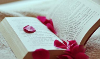 什么是邮政通信管理 邮政通信管理介绍