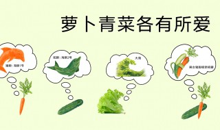 萝卜青菜各有所爱是什么哲学道理 萝卜青菜各有所爱什么意思