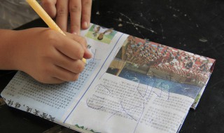 什么是研究院什么性质的 研究院性质介绍