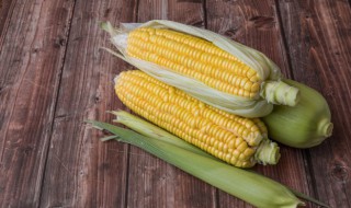 玉米怎样储存才好 如何保存玉米比较好