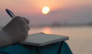 蜘蛛作者简介 蜘蛛作者介绍