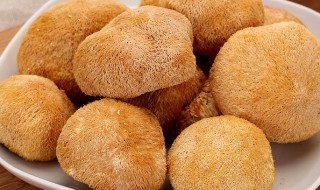 猴头菇怎样保存 猴头菇储存妙招