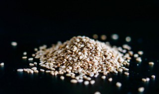 怎样保存芝麻 芝麻怎样保存