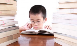 狼王梦作品简介 狼王梦作品介绍