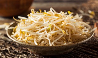 家庭生豆芽的简单方法 家庭生豆芽怎么简单好做