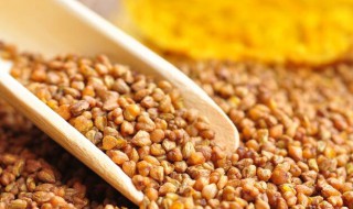 家庭苦荞茶的制作方法 家庭苦荞茶如何制作