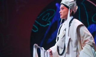 京剧王佩瑜的简介 京剧王佩瑜的简介是什么