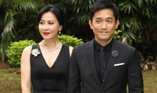 刘嘉玲简介老公 刘嘉玲老公介绍