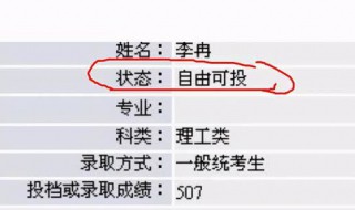 档案显示自由可投什么意思 档案自由可投什么意思