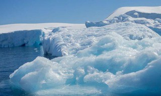 关于北极的知识 关于北极的知识介绍