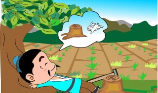 关于兔子的成语典故 关于兔子的成语典故介绍