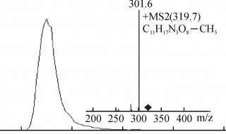 什么叫等位氢急 等位氢急介绍