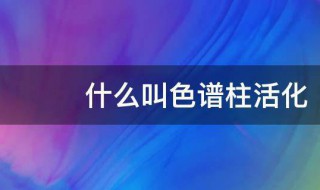 什么叫色谱柱活化 色谱柱活化的解释