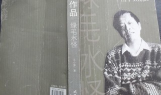 王小波代表作 王小波简介
