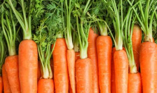 胡萝卜怎样储存不发黑 胡萝卜储存方法